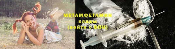 прущие грибы Волосово