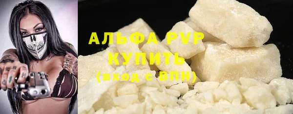 прущие грибы Волосово