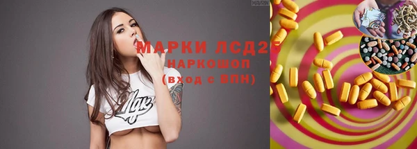 прущие грибы Волосово