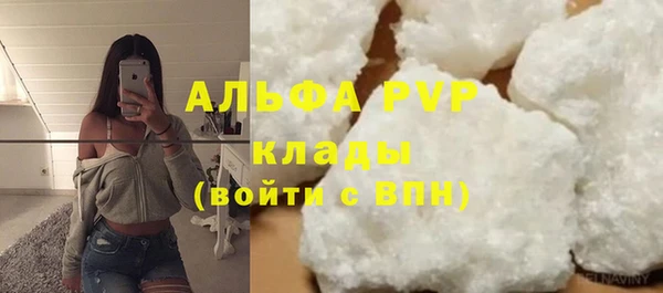 прущие грибы Волосово