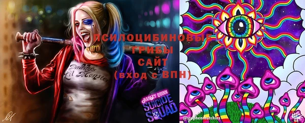 не бодяженный Володарск