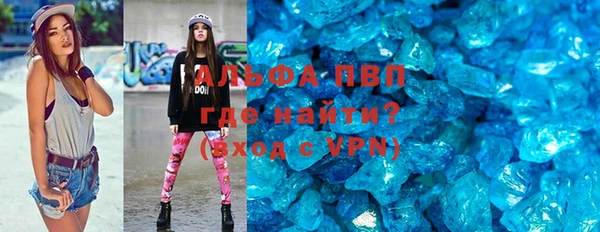 прущие грибы Волосово