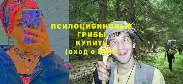 прущие грибы Волосово