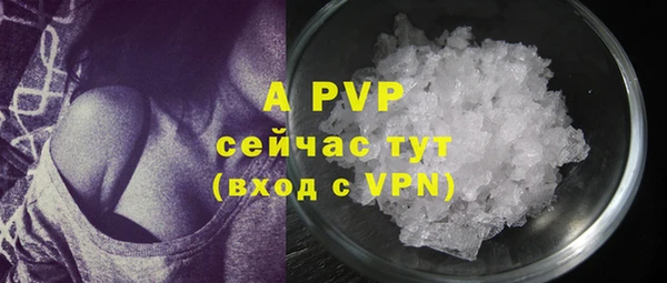 прущие грибы Волосово